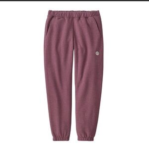 Patagonia Fitz Roy Icon Uprisal Sweatpants